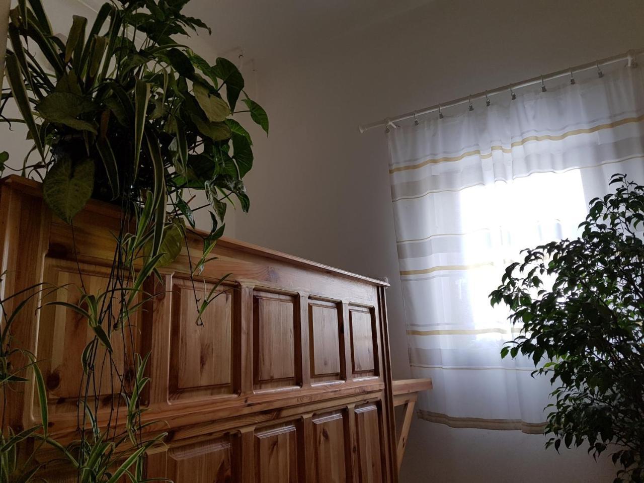 Matyas Panzio Bed and Breakfast Σέγκεντ Εξωτερικό φωτογραφία